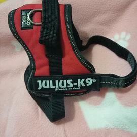Pettorina Julus K9 taglia mini-mini