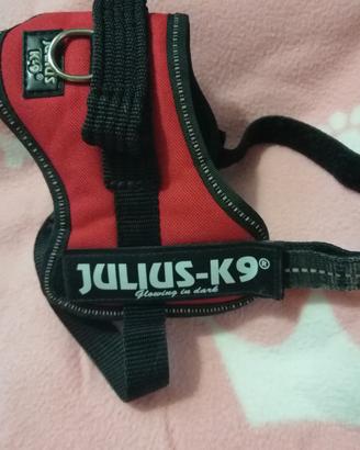 Pettorina Julus K9 taglia mini-mini