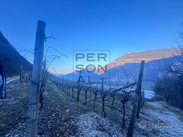 Terreno Agricolo - Aldeno