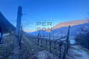 Terreno Agricolo - Aldeno