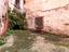 Immagine 9