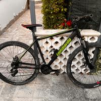 Lombardo 29 M mtb