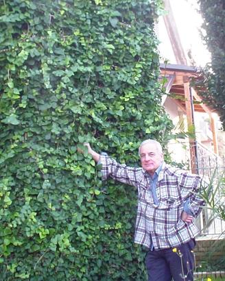 Voliera a nove lati