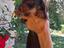 Immagine 6