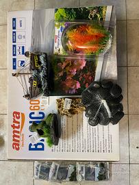 Acquario Amtra 60 LED completo + accessori e decor
