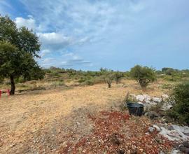 Acireale nord terreno agricolo mq 30000