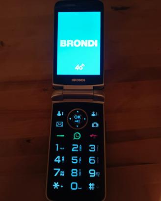 Amico Flip 4g +