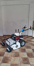 Trincia barbieri G775