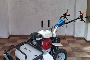 Trincia barbieri G775