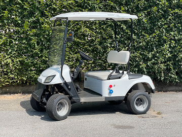 GolfCar Elettrica Yanmar - come nuova fatturabile