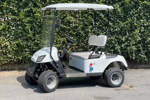 GolfCar Elettrica Yanmar - come nuova fatturabile