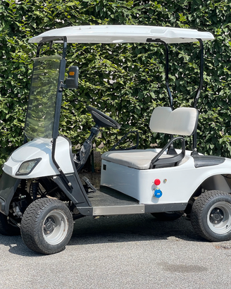 GolfCar Elettrica Yanmar - come nuova fatturabile