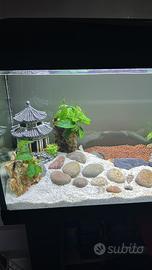 Acquario amtra 80 130lt