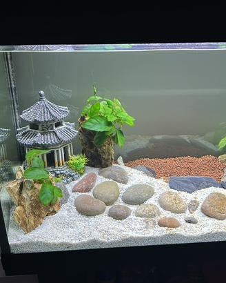 Acquario amtra 80 130lt