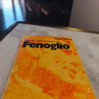 Fenoglio 