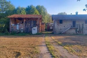 rustico