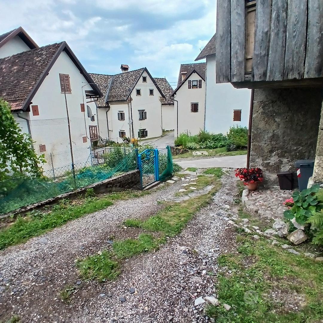Vecchia stalla da ristrutturare più terreno (orto) - Vista 3