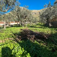 Terreno zona tommaso natale