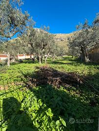 Terreno zona tommaso natale