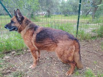 Cloe l'unica speranza siete voi