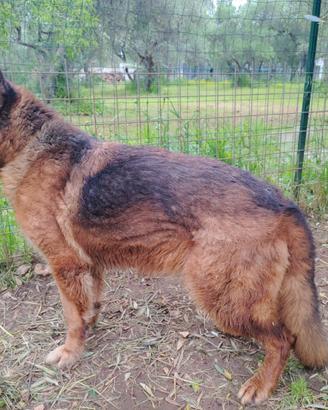 Cloe l'unica speranza siete voi