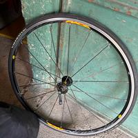 Ruota bici da corsa Mavic