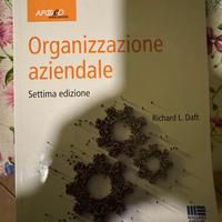 Organizzazione aziendale settima edizione