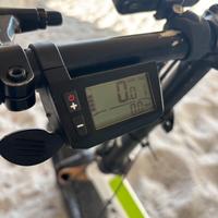 Bici elettrica trattabile
