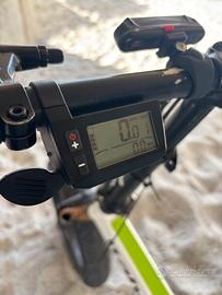 Bici elettrica trattabile