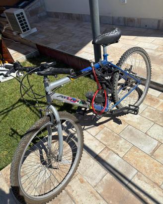 Bicicletta argento e blu