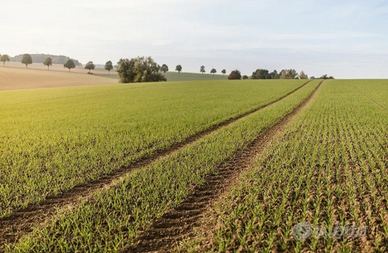 C.e.r.c.o. terreno agricolo Formigine Montale