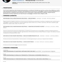 Manutentore Meccanico, Saldatore mig/mag