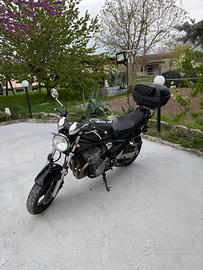 Suzuki bandit