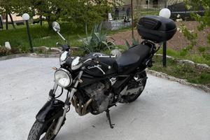Suzuki bandit