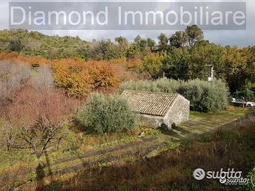 Terreno 5 ettari con fabbricato Piedimonte Etneo