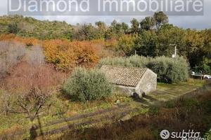 Terreno 5 ettari con fabbricato Piedimonte Etneo