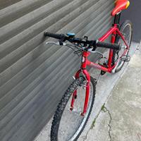 Bici da 26 FRERA