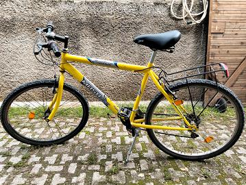 MTB  26 pollici