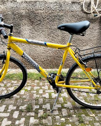 MTB  26 pollici