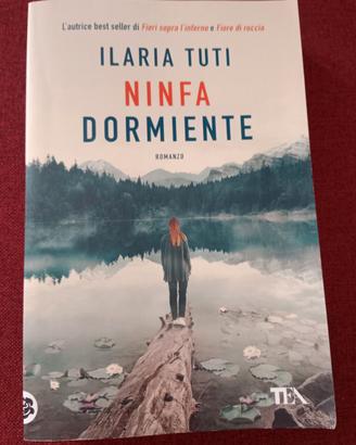 Romanzo "Ninfa dormiente"