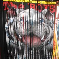 FUMETTI THE BOYS   serie completa