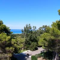 595455 "monolocale al volvito di ciro' marina"