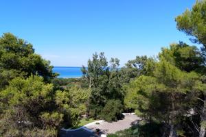 595455 "monolocale al volvito di ciro' marina"