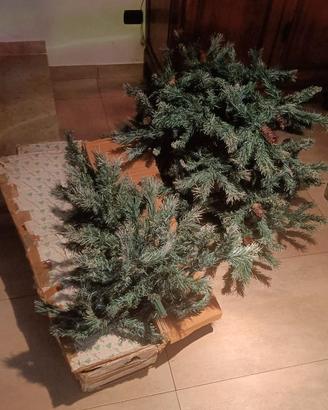 Albero di Natale