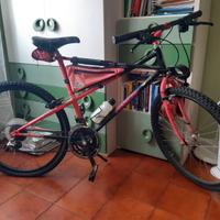 Mountain bike Bianchi ragno