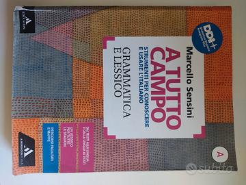 A tutto campo grammatica e lessico 