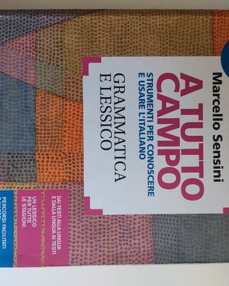 A tutto campo grammatica e lessico 