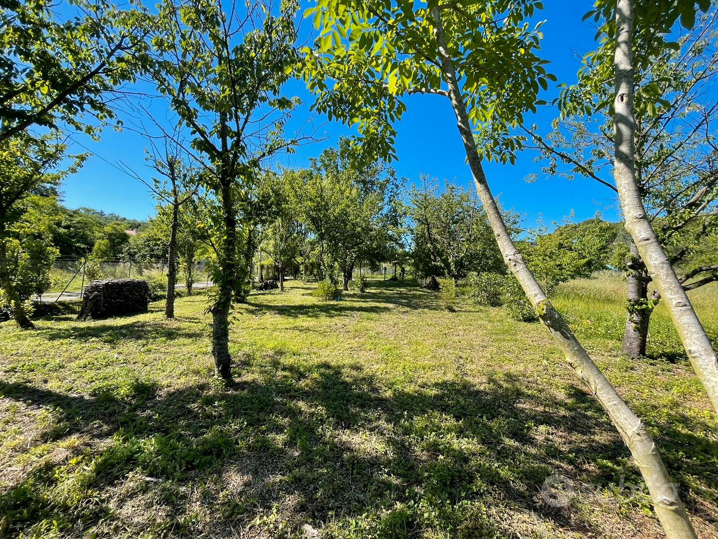 Terreno agricolo santaquilina - Vista 3