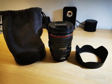 Canon 24-105 F4 L