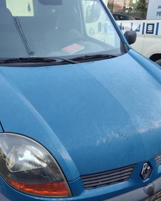 Cofano RENAULT KANGOO del 2003